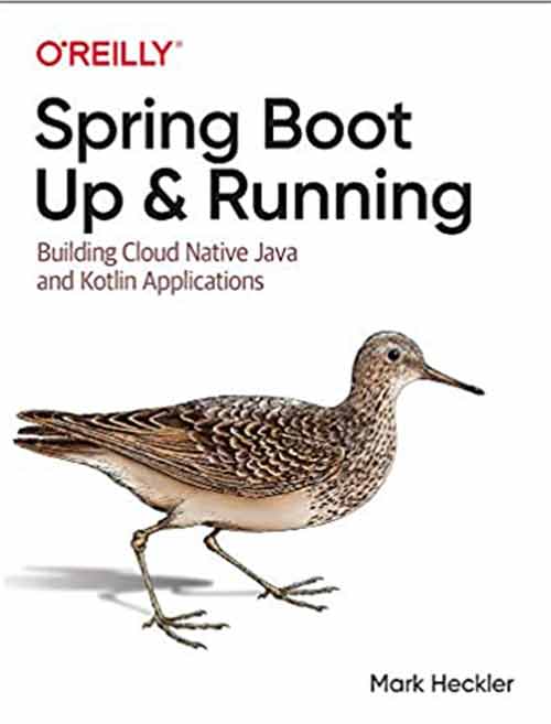 Beginners Book Java