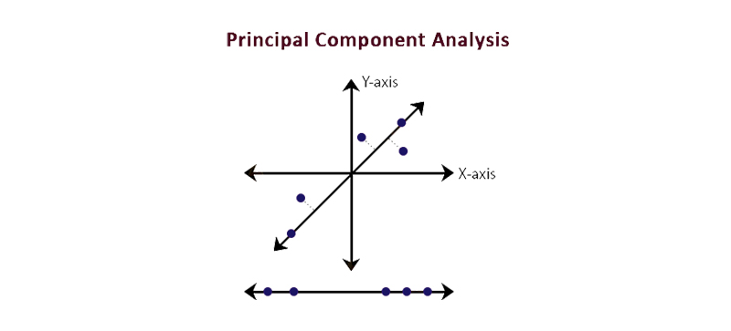 data science tutorial for beginners free