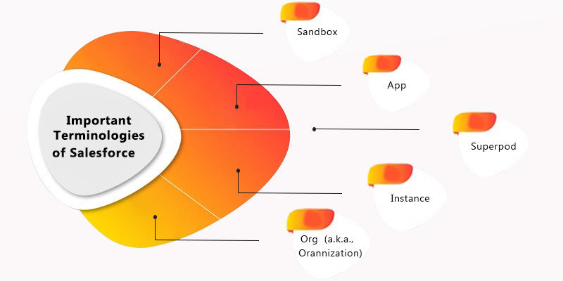 salesforce basic concepts