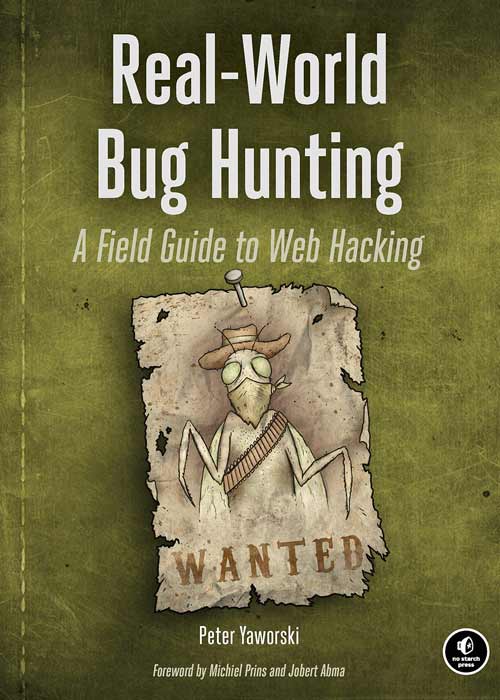 Real-World Bug Hunting