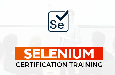 Selenium Training in Velachery