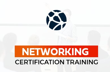 Networking Online Course