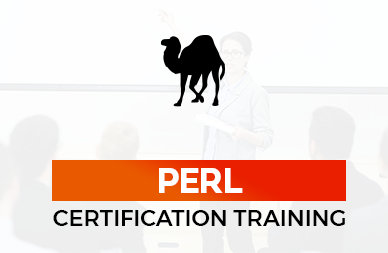 Perl Training in Chennai