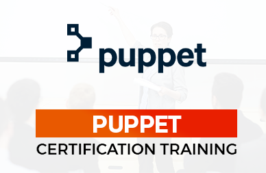 Puppet Online Training