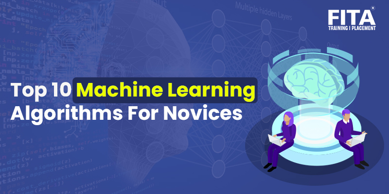 Top 10 Machine Learning Algorithms For Novices: Guided and More