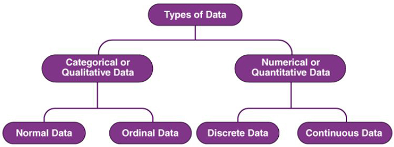 Types of Data