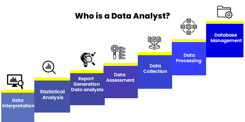 Who is a Data Analyst