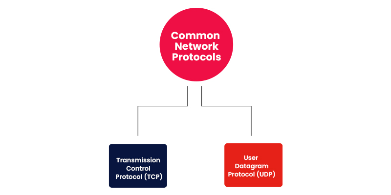 Common Network Protocols