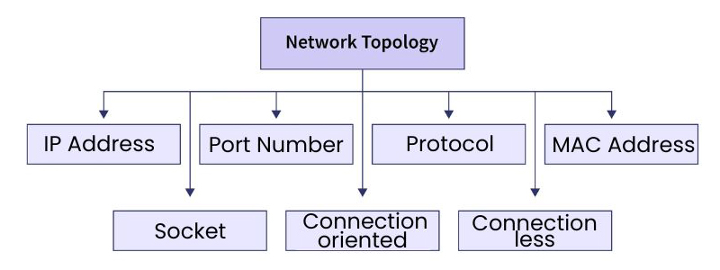 Java Network Topology